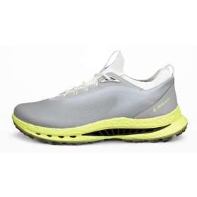 Buty męskie ECCO M GOLF BIOM C5 • Wild Dove