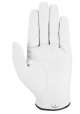 Męska rękawiczka golfowa Callaway Dawn Patrol Glove