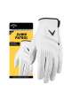 Męska rękawiczka golfowa Callaway Dawn Patrol Glove