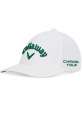 Czapka golfowa Callaway Tour Authentic Performance Pro Cap • White Green