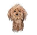 Pokrowiec na główkę kija golfowego Scuffy Dog Driver Headcover