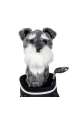 Pokrowiec na główkę kija golfowego Schnauzer Driver Headcover
