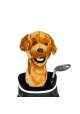 Pokrowiec na główkę kija golfowego Golden Retriever Driver Headcover
