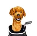 Pokrowiec na główkę kija golfowego Golden Retriever Driver Headcover