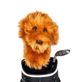 Pokrowiec na główkę kija golfowego Doodle Dog Driver Headcover