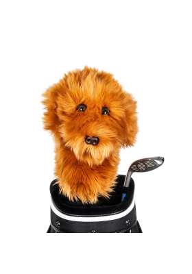 Pokrowiec na główkę kija golfowego Doodle Dog Driver Headcover