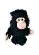 Pokrowiec na główkę kija golfowego Chimp Driver Headcover • Szympans