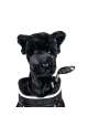 Pokrowiec na główkę kija golfowego Black Lab Driver Headcover • Czarny Labrador