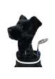Pokrowiec na główkę kija golfowego Black Lab Driver Headcover • Czarny Labrador