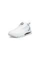 Buty męskie ECCO M GOLF BIOM C5 Premium • White/Buffed Silver