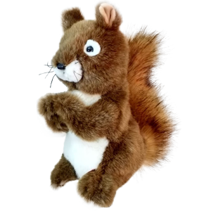 Headcover • Wiewiórka