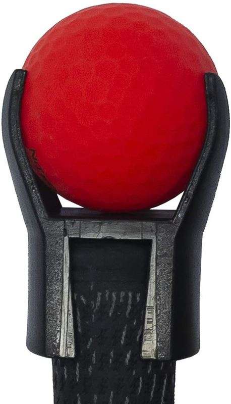 Deluxe Ball Pick Up