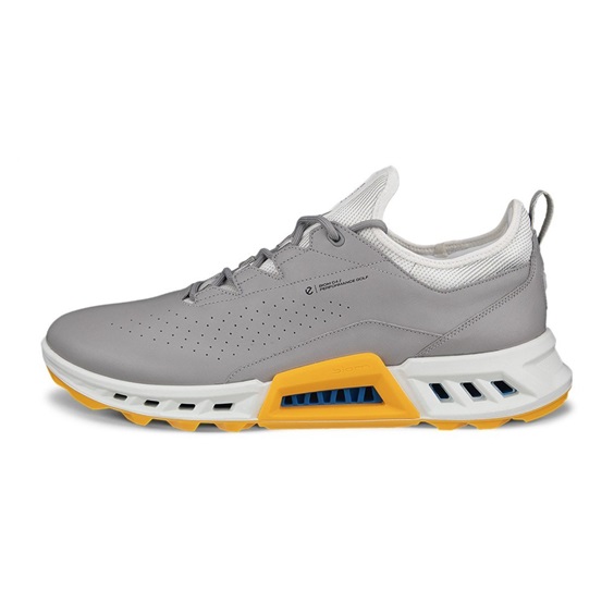 Buty męskie ECCO M GOLF BIOM C4 • Wild Dove Sunrise