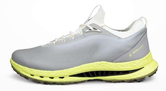 Buty męskie ECCO M GOLF BIOM C5 • Wild Dove